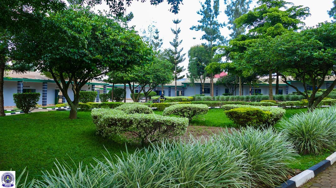 Innovation & Technology Excellence